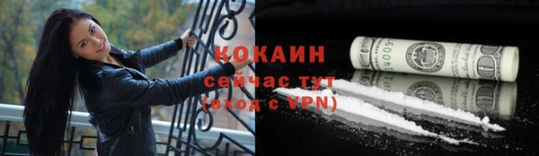 винт Абаза