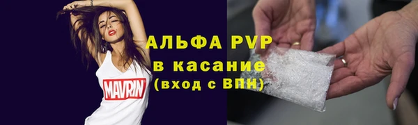 винт Абаза