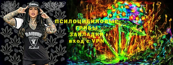 винт Абаза
