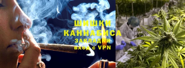 винт Абаза